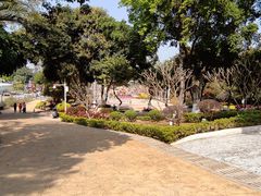 -天河儿童公园