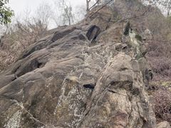 -南山植物园