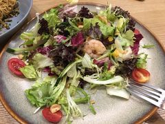 -HELLO 27 意面·沙拉·帕尼尼