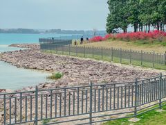 -露天矿生态公园