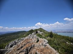 -长虫山生态公园风景林