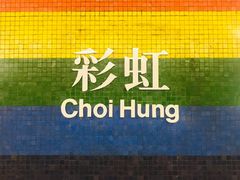 -彩虹村