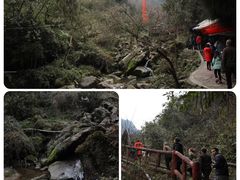 -三圣花乡旅游区