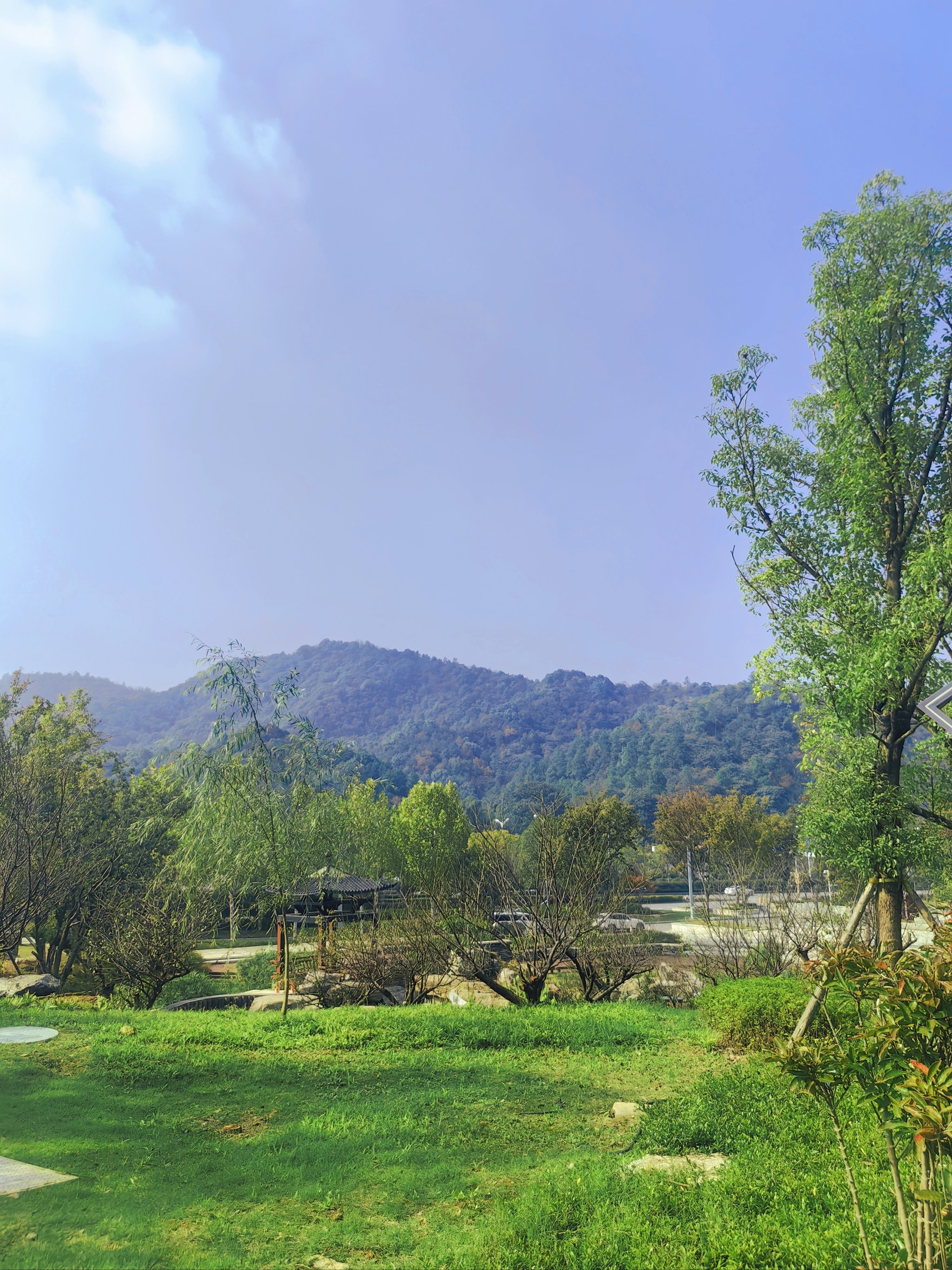 岳麓山风景图片