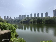 -重庆彩云湖湿地公园