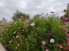 -映月湖公园