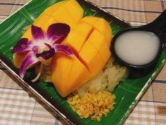 -Jungle Kitchen