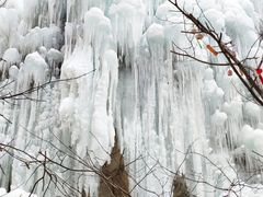 -黑龙潭风景区