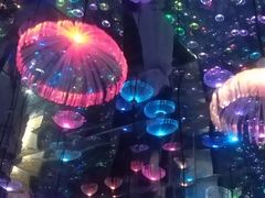 -梵高星空艺术馆(北京旗舰店)