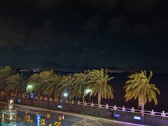 -野狸岛