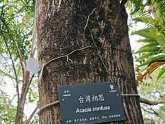 -深圳仙湖植物园
