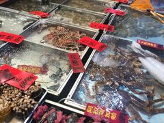 -湛江渔港·大排档(乐园路总店)