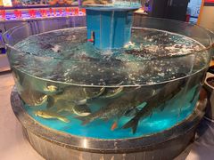 -魏铭鱼头捞饭(晋阳路店)