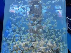 -厦门海底世界
