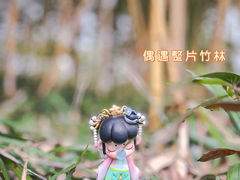 -苏州上方山国家森林公园