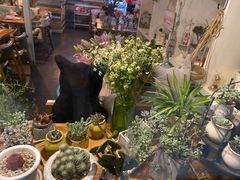 -Kitchen·Y洋厨房西餐厅(王府壹号店)