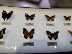 -中国湿地博物馆