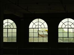 -半岛1919创意园区