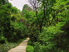 -杭州半山国家森林公园