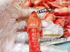 -隆康社长沙烧烤铺(桔园店)