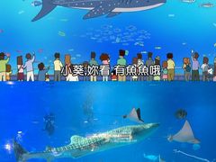 -烟台海昌鲸鲨海洋公园