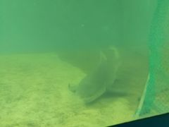 -北戴河圣蓝海洋公园