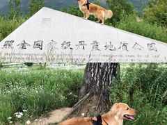 -陈炉古镇