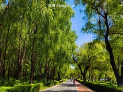 -长春市南湖公园