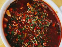 -胖大姐黄辣丁鱼庄(新津店)