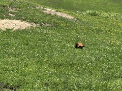 -新疆那拉提国家旅游度假区