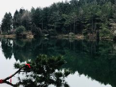 -四明山国家森林公园
