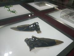 -上海昆虫博物馆