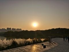 -昆山城市生态森林公园