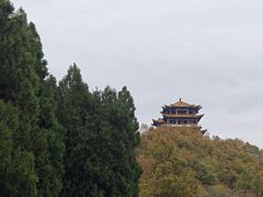 -中原大佛景区