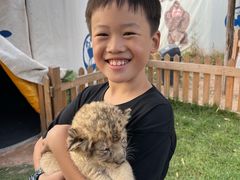 -鄂尔多斯野生动物园