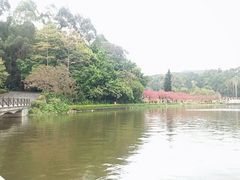 -南国桃园旅游度假区