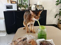 -OUR Bakery(SKP-S店)