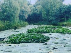 -承德避暑山庄景区