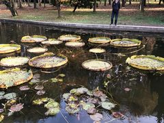 -共青国家森林公园-游客服务中心