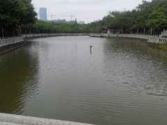 -福神岗公园