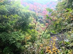 -藏龙百瀑风景区