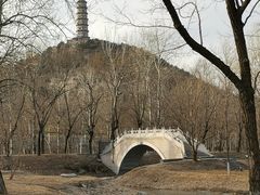 -北坞公园