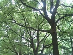 -上海交通大学医学院附属瑞金医院(总院)