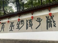 -严子陵钓台(富春江小三峡)