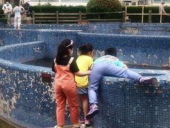 -逸仙华庭