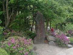 -庐山风景区花径公园