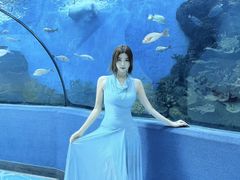 -合肥海洋世界