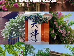 -天津五大道文化旅游区