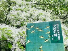 -国家植物园南园