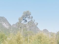 -万峰林风景区